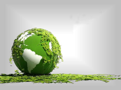 身心健康與綠色生活 構(gòu)建內(nèi)外兼修的環(huán)保健康觀(guān)